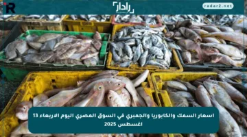 أسعار السمك والكابوريا والجمبري في السوق المصري اليوم الأربعاء 13 أغسطس 2025